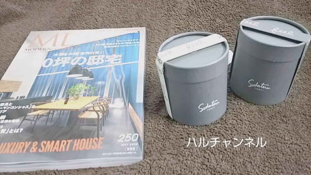 モダンリビングNo.250×「育てるタオル」feelプチフェイスタオル特別セット