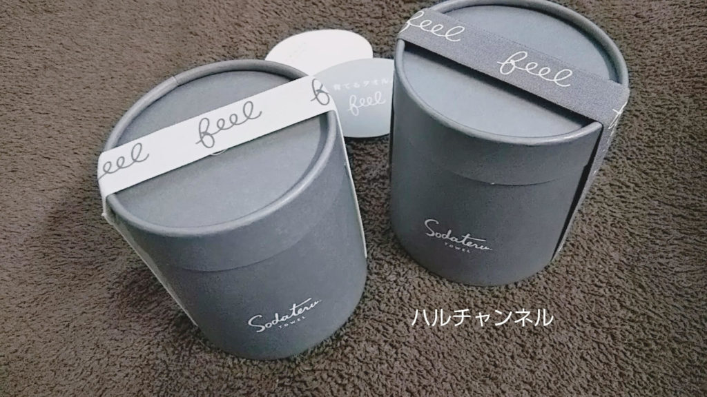 モダンリビングNo.250×「育てるタオル」feelプチフェイスタオル特別セット